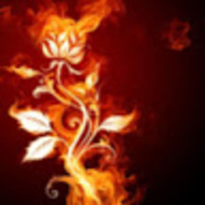 Meet your Posher, Aleena